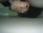 JESSE, BATH, P8010647 1